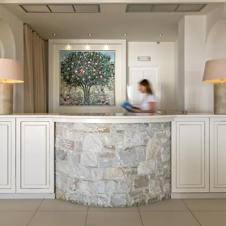 알키온 호텔 Mykonos Town